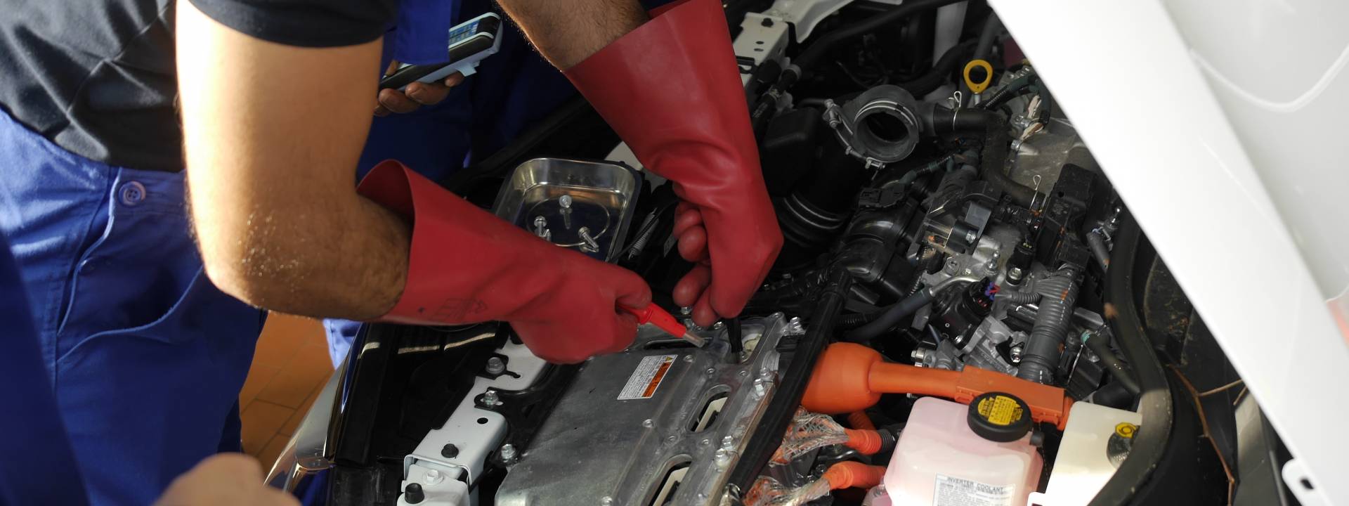 Future Prospects for Skilled Workers in Jordan